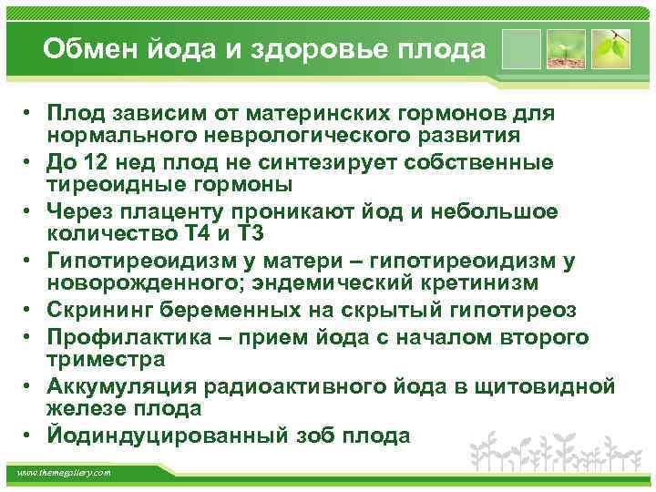 Обмен йода и здоровье плода • Плод зависим от материнских гормонов для нормального неврологического