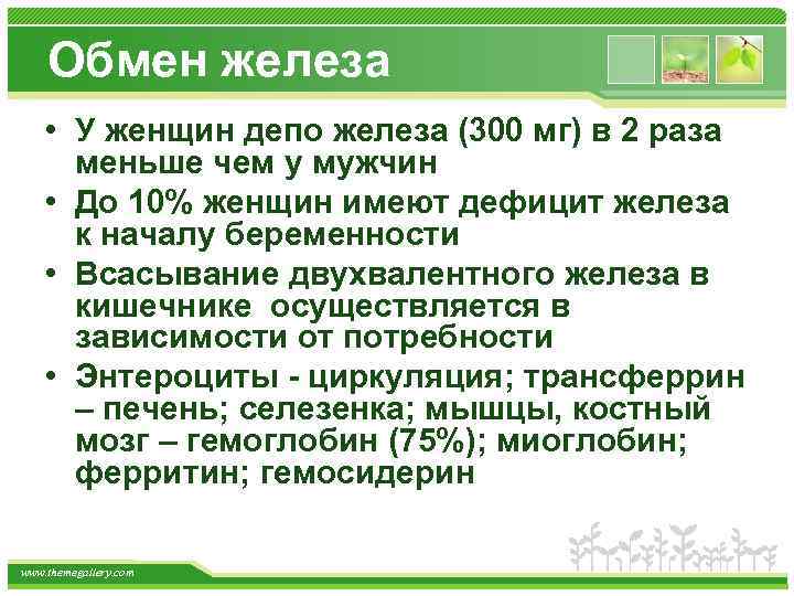 Обмен железа • У женщин депо железа (300 мг) в 2 раза меньше чем