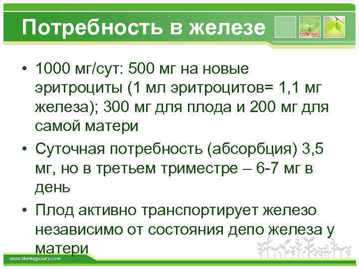 Потребность в железе • 1000 мг/сут: 500 мг на новые эритроциты (1 мл эритроцитов=