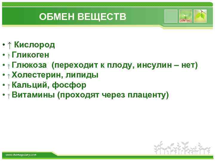 ОБМЕН ВЕЩЕСТВ • ↑ Кислород • ↑ Гликоген • ↑ Глюкоза (переходит к плоду,