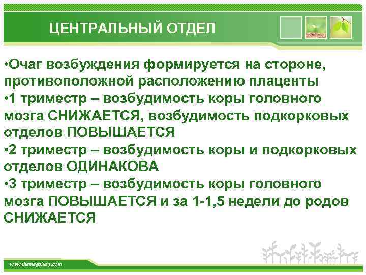 ЦЕНТРАЛЬНЫЙ ОТДЕЛ • Очаг возбуждения формируется на стороне, противоположной расположению плаценты • 1 триместр