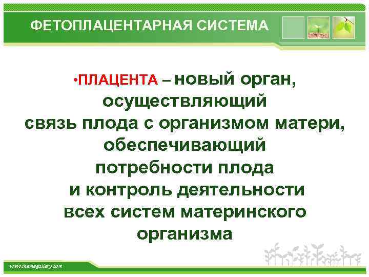 ФЕТОПЛАЦЕНТАРНАЯ СИСТЕМА • ПЛАЦЕНТА – новый орган, осуществляющий связь плода с организмом матери, обеспечивающий