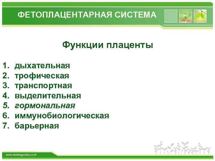 ФЕТОПЛАЦЕНТАРНАЯ СИСТЕМА Функции плаценты 1. 2. 3. 4. 5. 6. 7. дыхательная трофическая транспортная