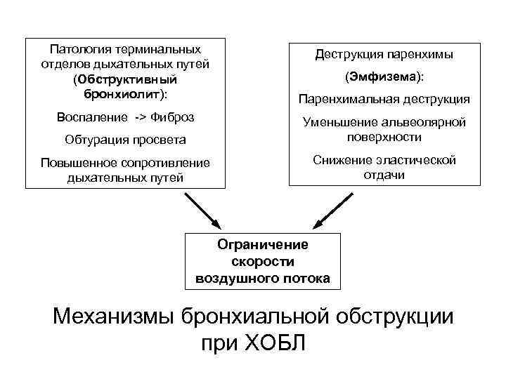 Патология терминальных отделов дыхательных путей (Обструктивный бронхиолит): Воспаление -> Фиброз Деструкция паренхимы (Эмфизема): Паренхимальная