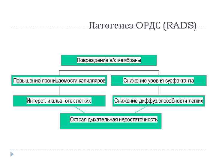 Патогенез OРДС (RADS) 