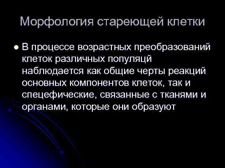 Морфология стареющей клетки l В процессе возрастных преобразований клеток различных популяцй наблюдается как общие