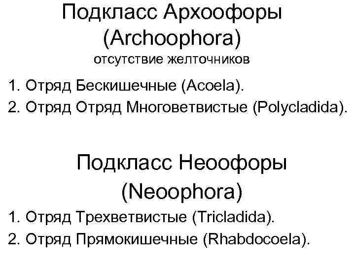 Подкласс Архоофоры (Archoophora) отсутствие желточников 1. Отряд Бескишечные (Acoela). 2. Отряд Многоветвистые (Polycladida). Подкласс