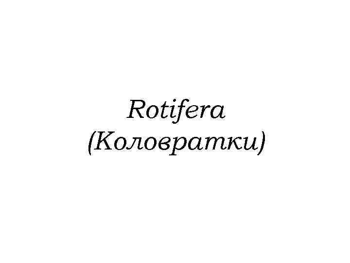 Rotifera (Коловратки) 