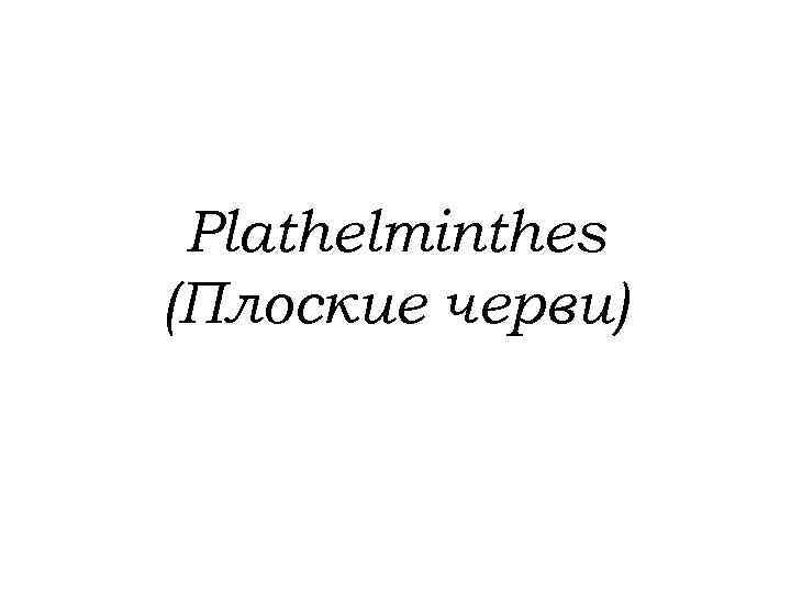 Plathelminthes (Плоские черви) 