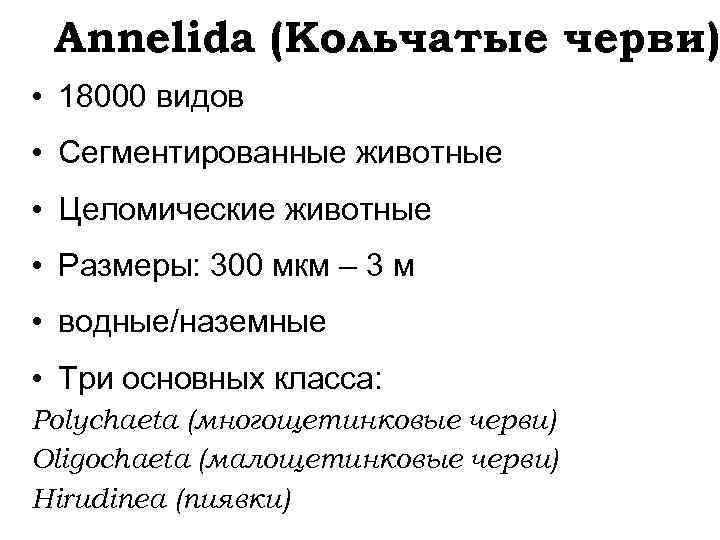 Annelida (Кольчатые черви) • 18000 видов • Сегментированные животные • Целомические животные • Размеры: