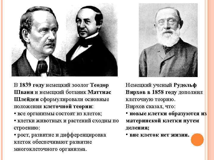 В 1839 году немецкий зоолог Теодор Шванн и немецкий ботаник Маттиас Шлейден сформулировали основные