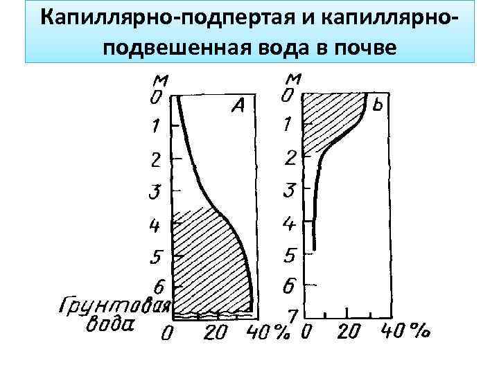 Капиллярно-подпертая и капиллярноподвешенная вода в почве 