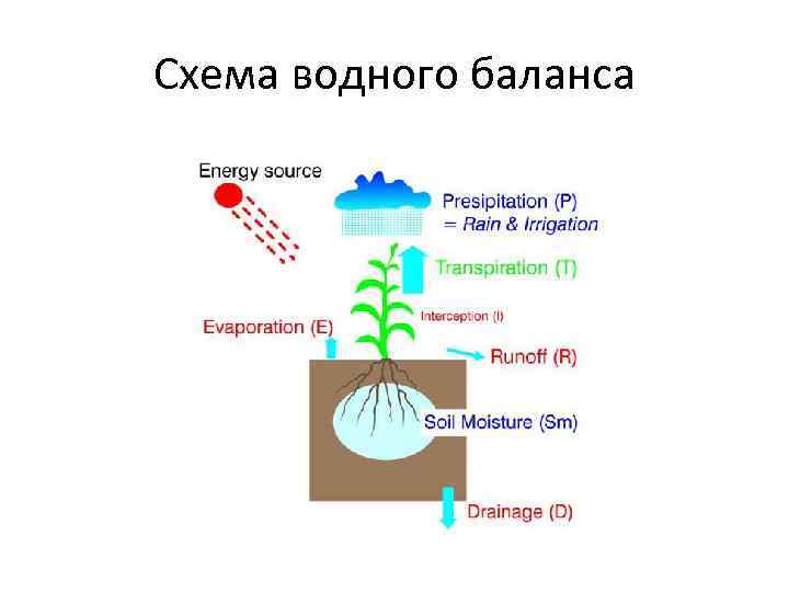 Схема водного баланса 