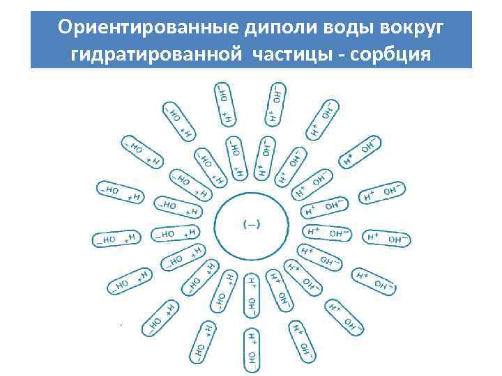 Ориентированные диполи воды вокруг гидратированной частицы - сорбция 