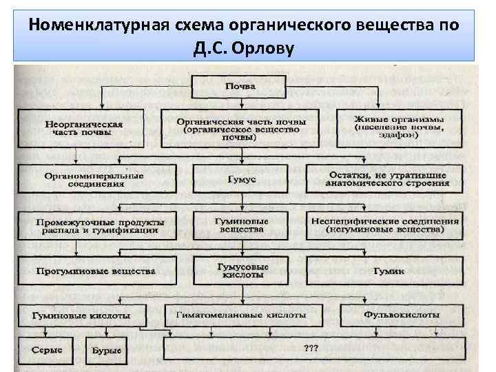 Номенклатурная схема органического вещества по Д. С. Орлову 