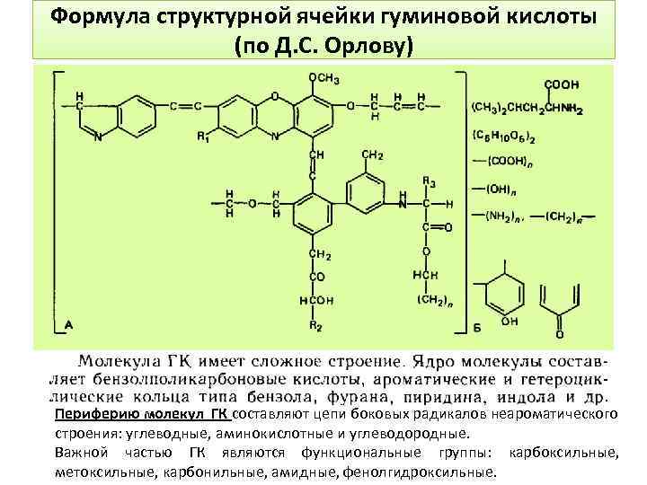Формула структурной ячейки гуминовой кислоты (по Д. С. Орлову) Периферию молекул ГК составляют цепи