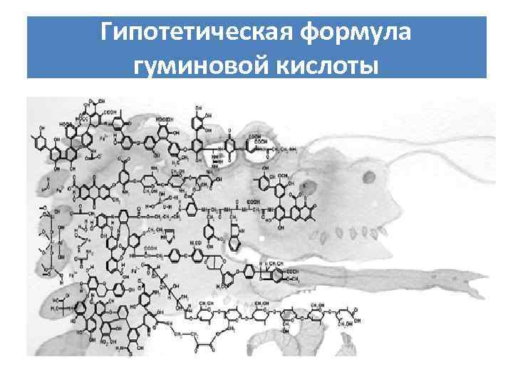Гипотетическая формула гуминовой кислоты . 