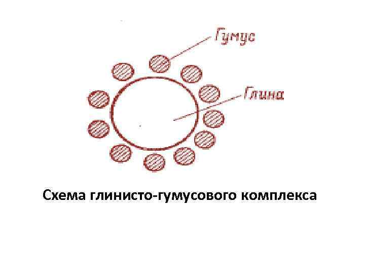 Схема глинисто-гумусового комплекса 
