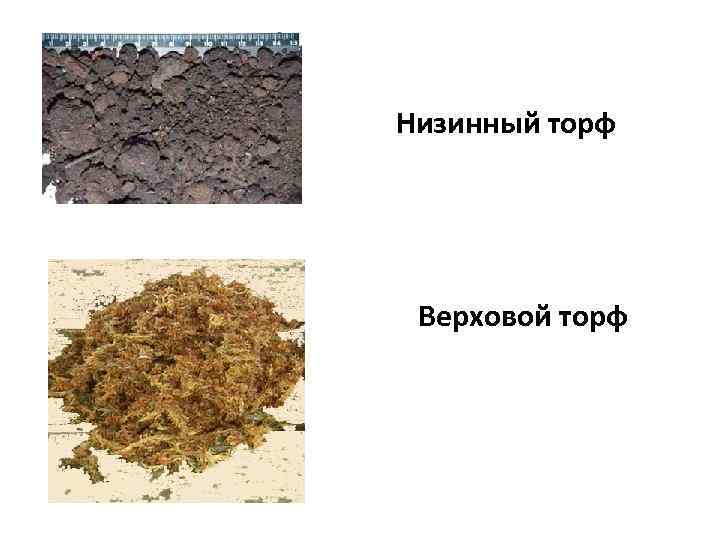 Низинный торф Верховой торф 