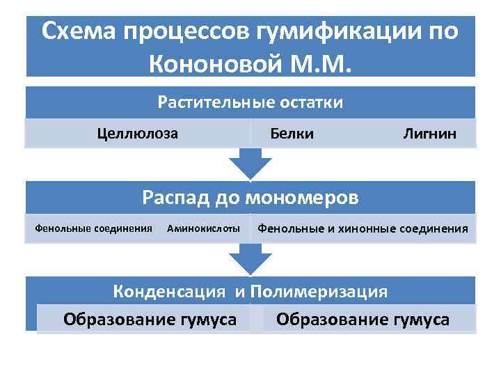 Схема процессов гумификации по Кононовой М. М. Растительные остатки Целлюлоза Белки Лигнин Распад до
