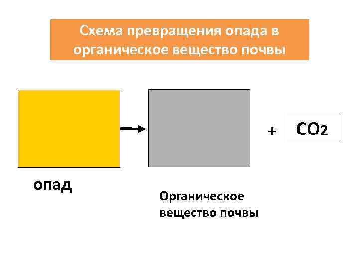 Схема превращения опада в органическое вещество почвы + опад Органическое вещество почвы СО 2
