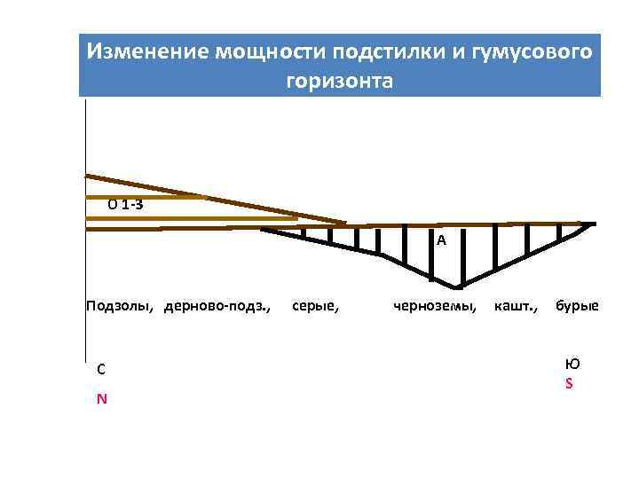 Изменение мощности подстилки и гумусового горизонта О 1 -3 А Подзолы, дерново-подз. , серые,