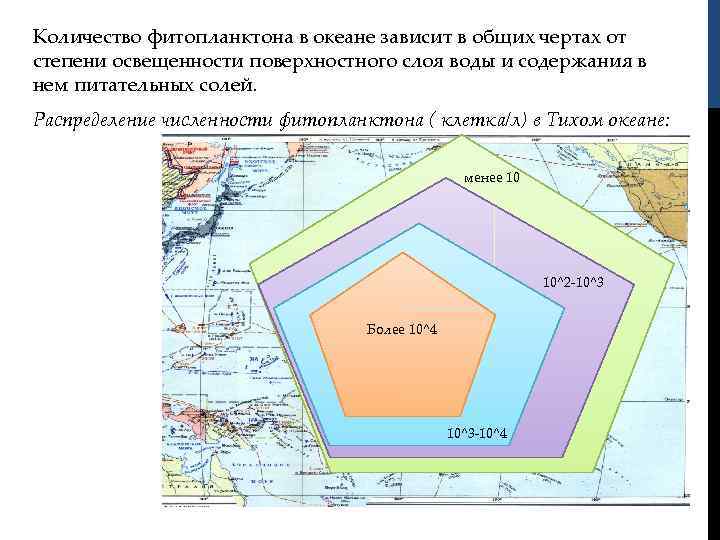 Количество фитопланктона в океане зависит в общих чертах от степени освещенности поверхностного слоя воды