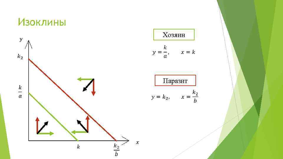Изоклины Хозяин Паразит 