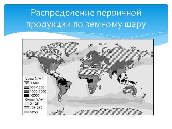 Распределение первичной продукции по земному шару 