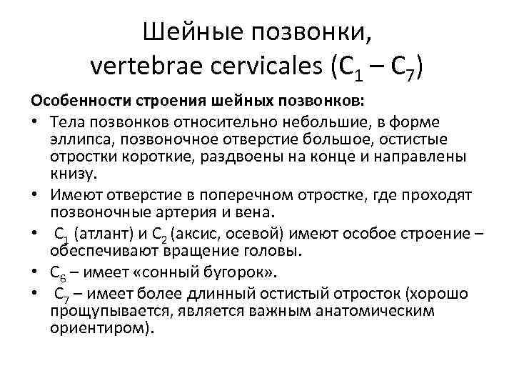 Шейные позвонки, vertebrae cervicales (С 1 – С 7) Особенности строения шейных позвонков: •