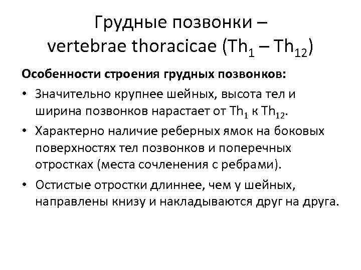 Грудные позвонки – vertebrae thoracicae (Th 1 – Th 12) Особенности строения грудных позвонков: