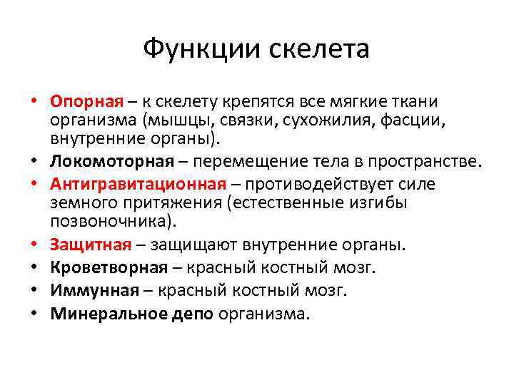 Функции скелета • Опорная – к скелету крепятся все мягкие ткани организма (мышцы, связки,