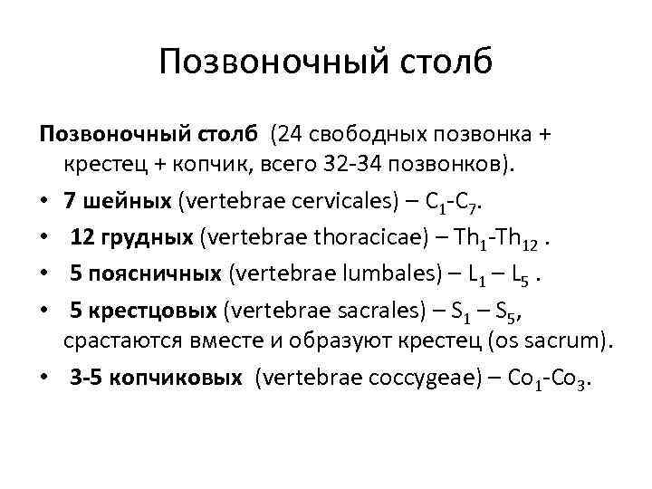 Позвоночный столб (24 свободных позвонка + крестец + копчик, всего 32 -34 позвонков). •