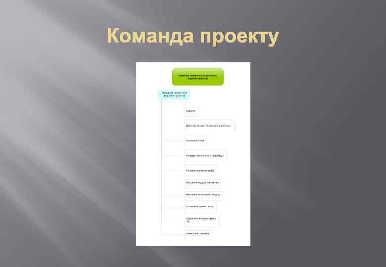 Команда проекту 