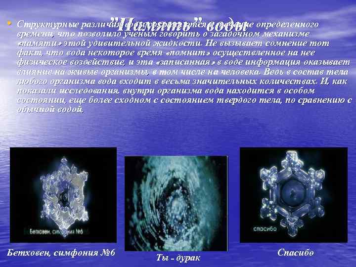 ”Память” воды • Структурные различия воды сохраняются в течение определенного времени, что позволило ученым