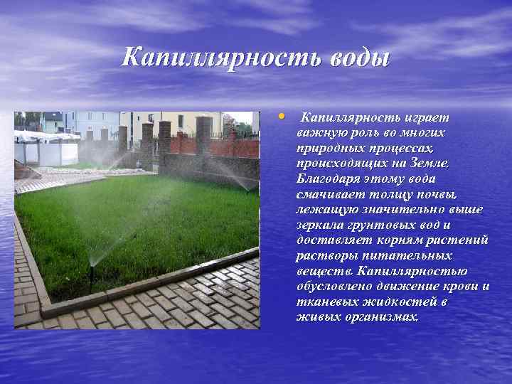 Капиллярность воды • Капиллярность играет важную роль во многих природных процессах, происходящих на Земле.