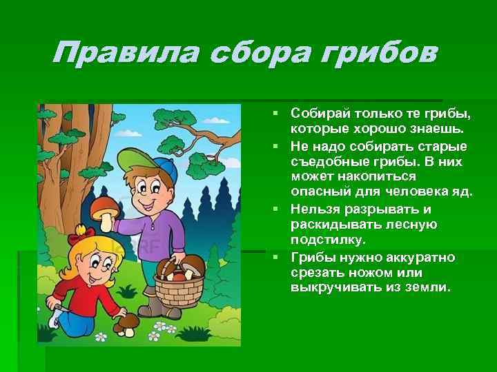 Правила сбора грибов § Собирай только те грибы, которые хорошо знаешь. § Не надо