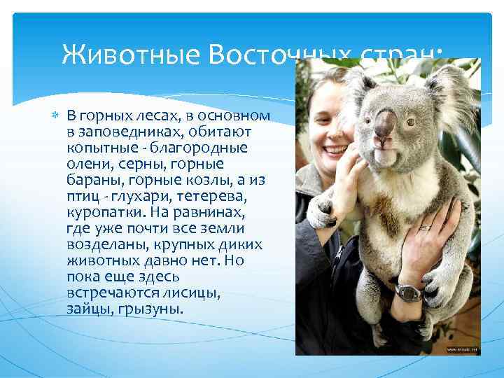 Животные Восточных стран: В горных лесах, в основном в заповедниках, обитают копытные - благородные