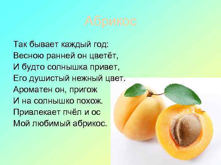 Абрикос Так бывает каждый год: Весною ранней он цветёт, И будто солнышка привет, Его