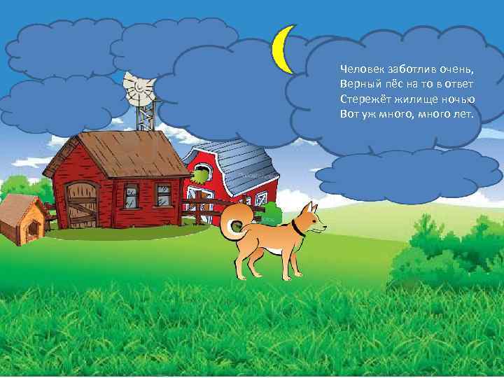 Человек заботлив очень, Верный пёс на то в ответ Стережёт жилище ночью Вот уж