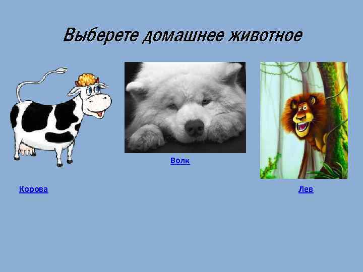 Выберете домашнее животное Волк Корова Лев 