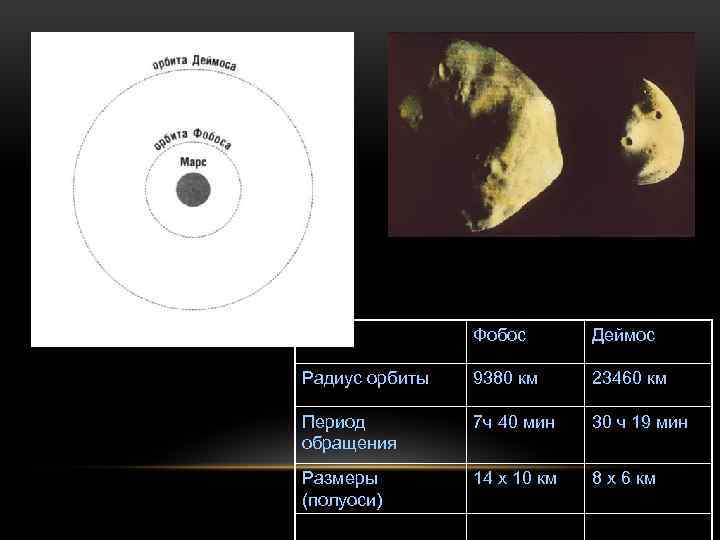 Фобос Деймос Радиус орбиты 9380 км 23460 км Период обращения 7 ч 40 мин