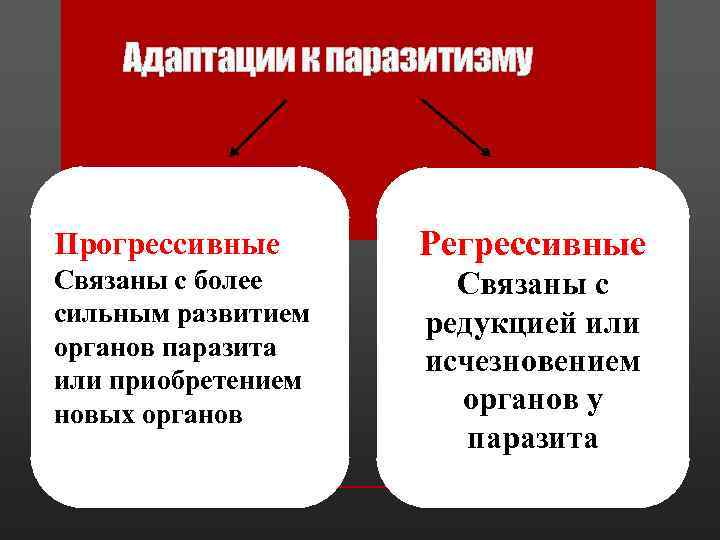 Адаптации к паразитизму Прогрессивные Регрессивные Связаны с более сильным развитием органов паразита или приобретением