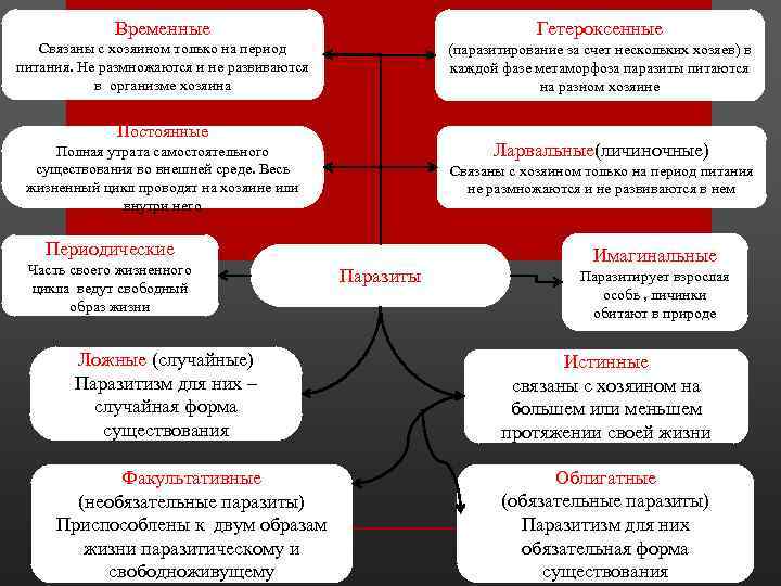 Временные Гетероксенные Связаны с хозяином только на период питания. Не размножаются и не развиваются