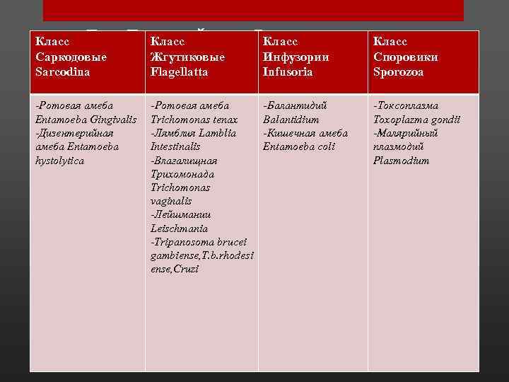 Класс Тип Простейшие Protozoa Класс Саркодовые Sarcodina -Ротовая амеба Entamoeba Gingivalis -Дизентерийная амеба Entamoeba