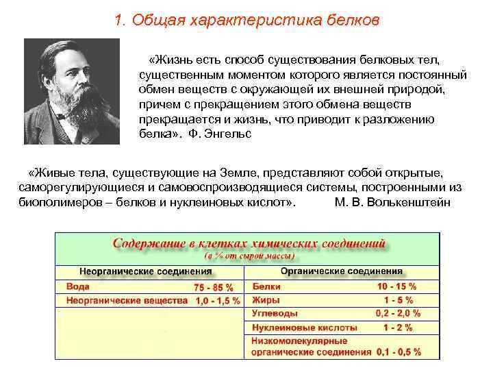 1. Общая характеристика белков «Жизнь есть способ существования белковых тел, существенным моментом которого является