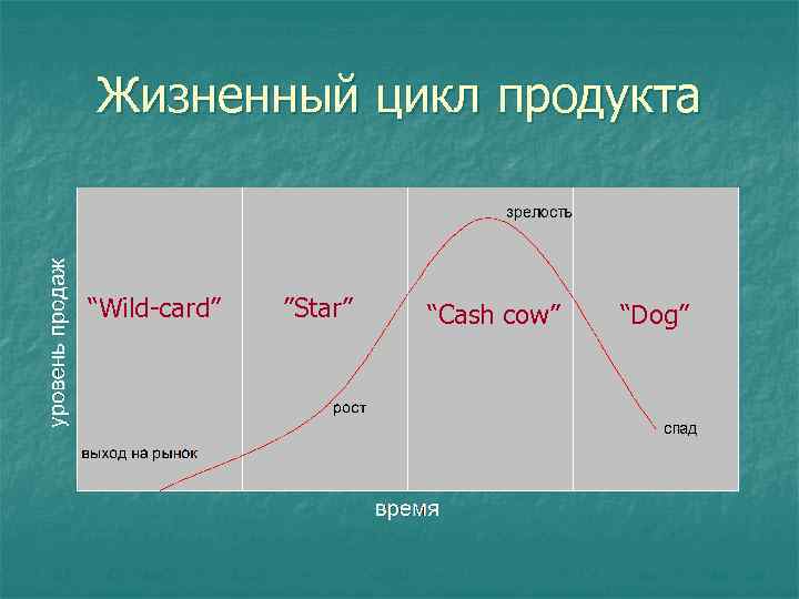 Цикл получает. Жизненный цикл продукта. Жизненный цикл товара схема. Жизненный цикл еды. Жизненный цикл организации.