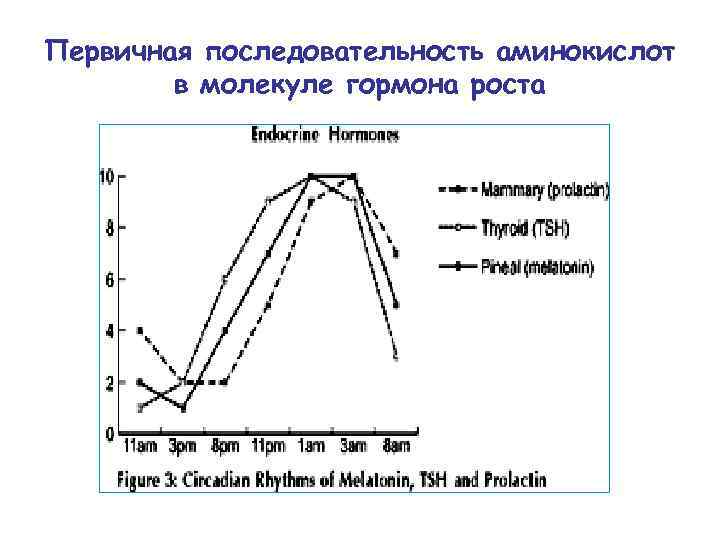 Первичная последовательность аминокислот в молекуле гормона роста 