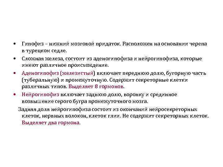  • Гипофиз – нижний мозговой придаток. Расположен на основании черепа в турецком седле.