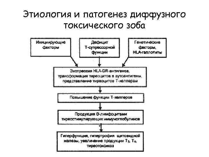 Патогенез дтз схема